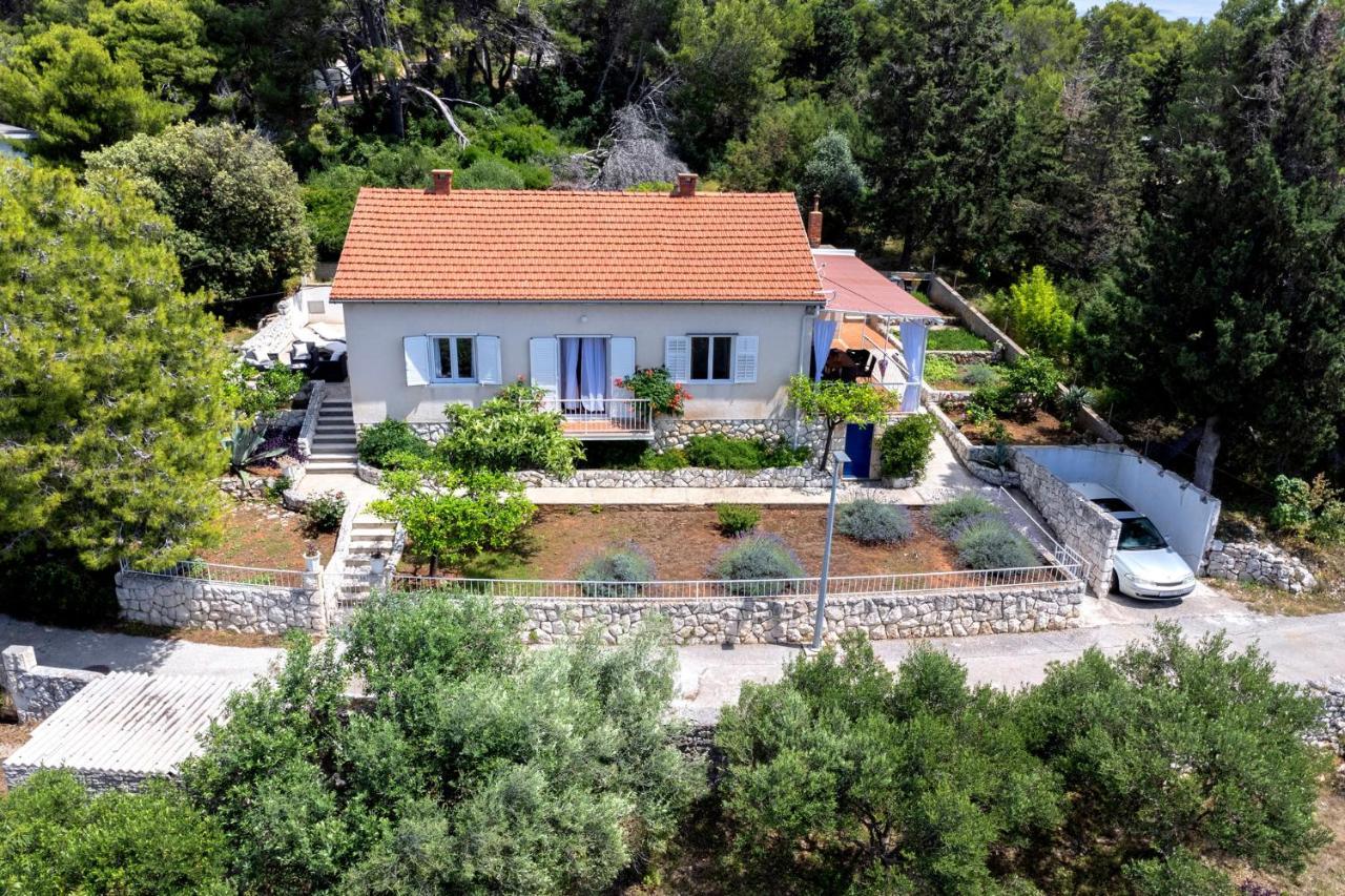 Rinada - Zf Hvar *